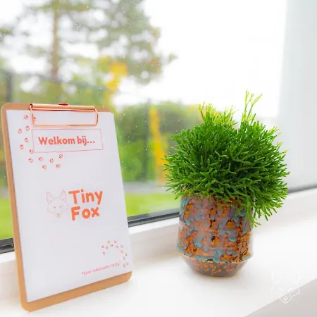 Holiday home Tiny Fox Kluisbos Orlitain