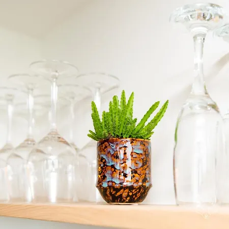 Tiny Fox Kluisbos בית נופש Mont-de-l'Enclus