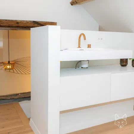 Tatil Evi Tiny Fox Kluisbos *