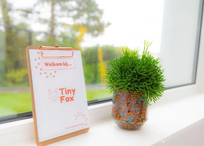 Vakantiehuis Tiny Fox Kluisbos Mont-de-l'Enclus