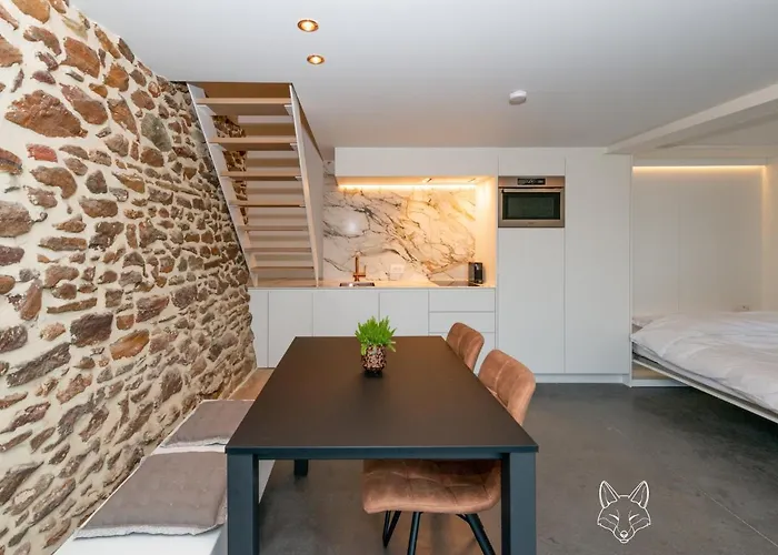 Tiny Fox Kluisbos Mont-de-l'Enclus