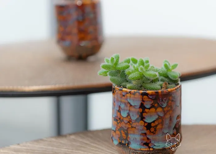 Vakantiehuis Tiny Fox Kluisbos *